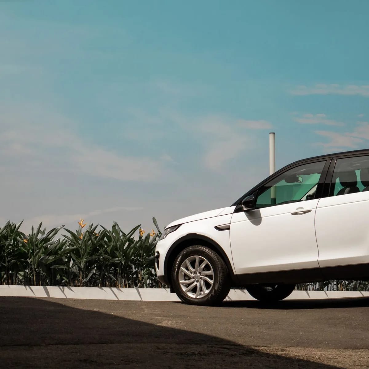 Airport-to-Hotel SUV Transfer image