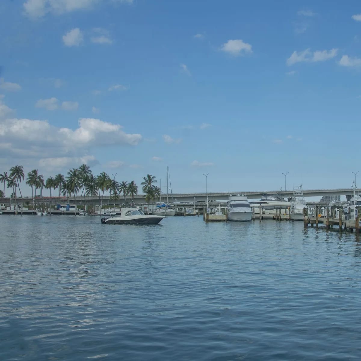 Two-Hour Harbor Charter image
