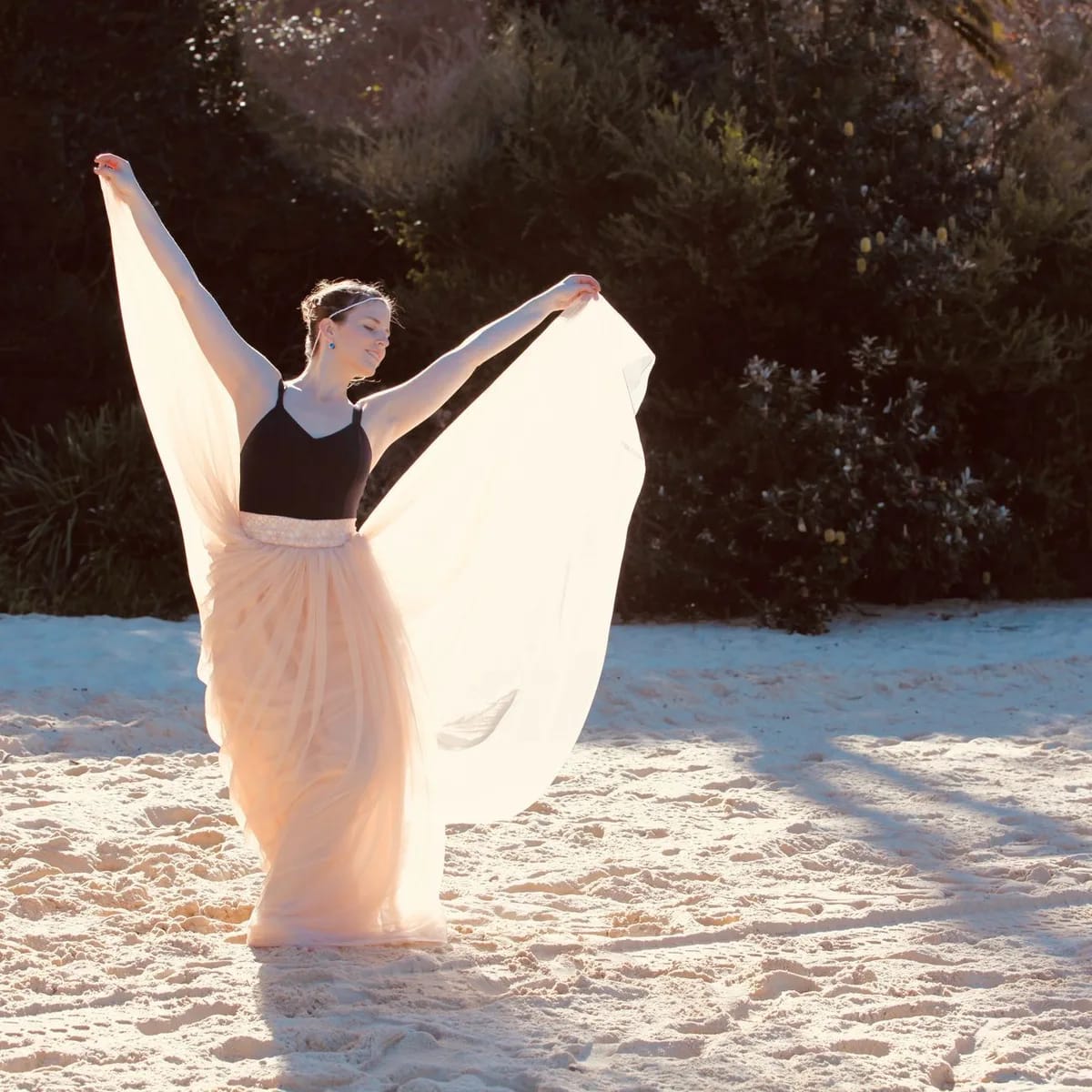 Tulle Skirt & Top Set image