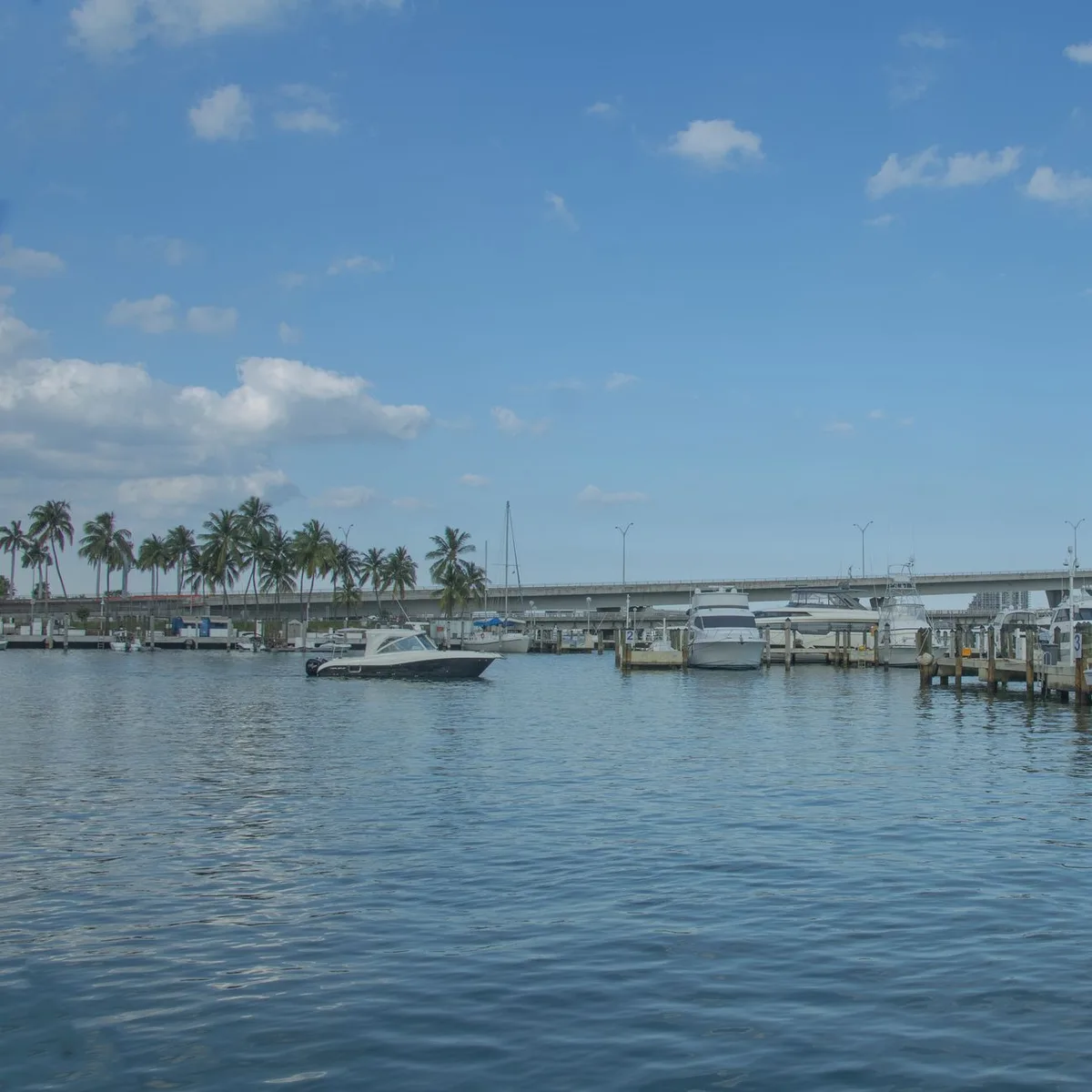 Two-Hour Harbor Charter image