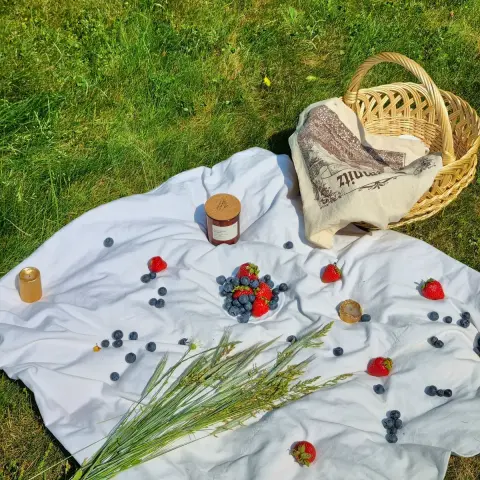 Sunset Picnic for Two