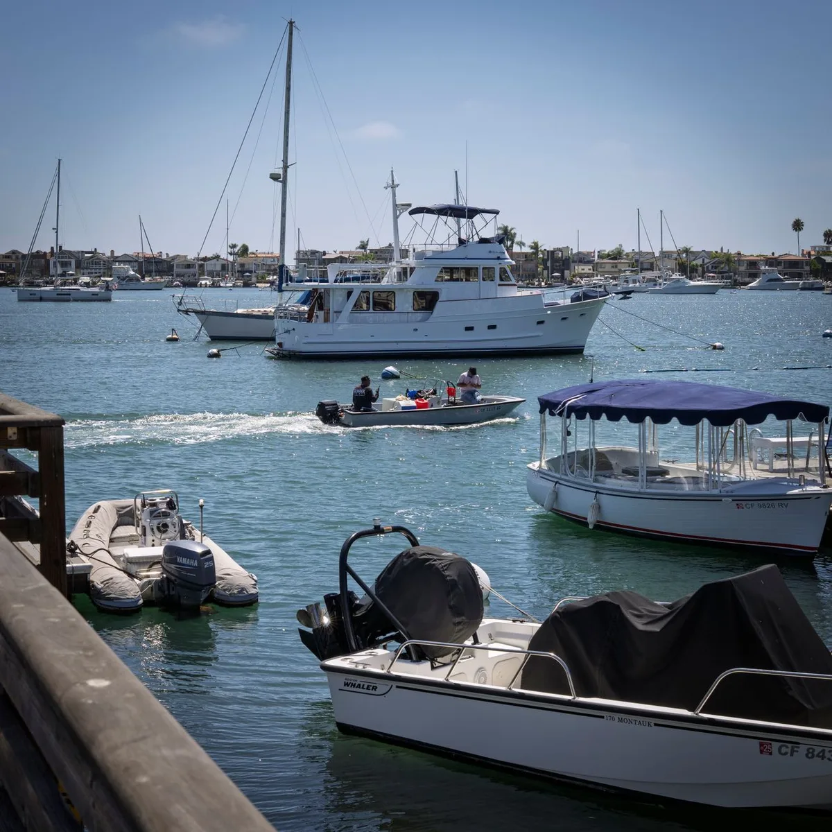 Yacht-Dock Welcome Picnic image