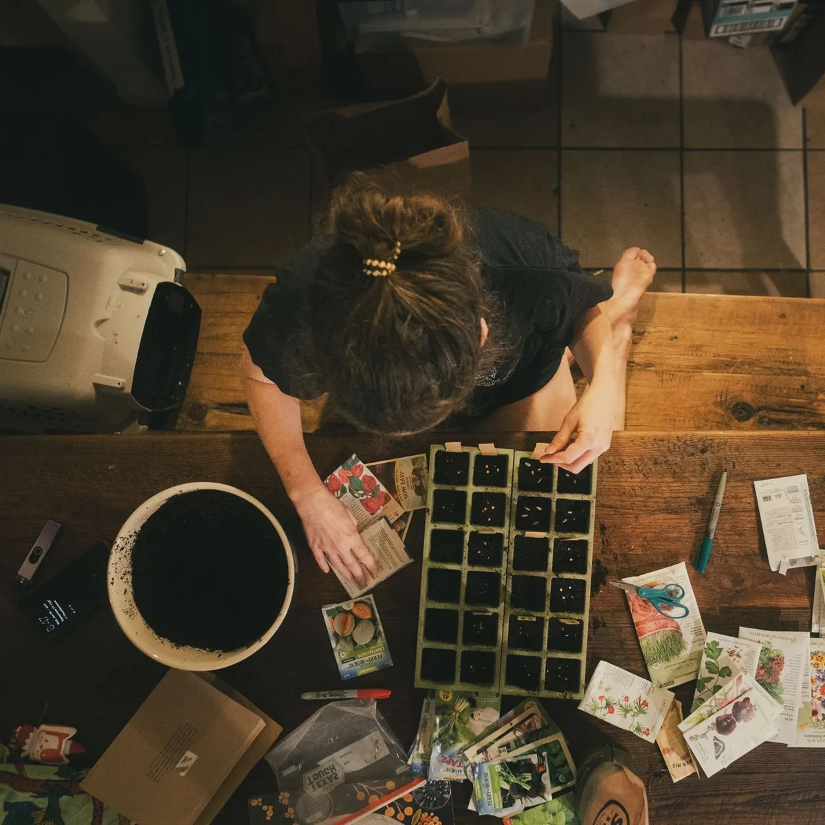 Plant-and-Grow Gift Pack image